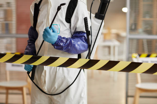 Professional Sewage Cleanup technician working in Hainesport, NJ